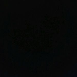 Meet your Posher, Aldair